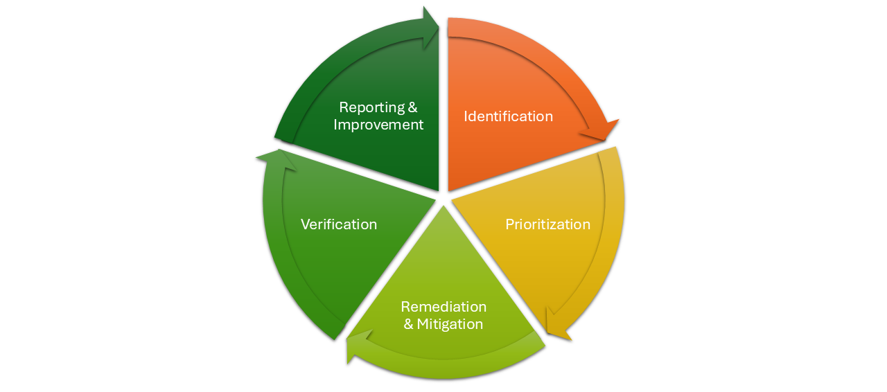 Vulnerability Management Lifecycle